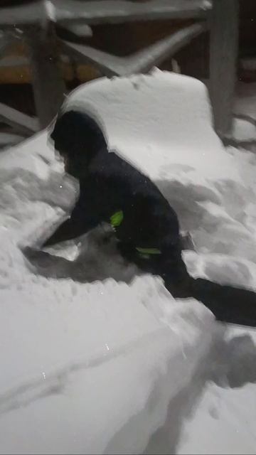 Россия против Украины 🇷🇺🇺🇦