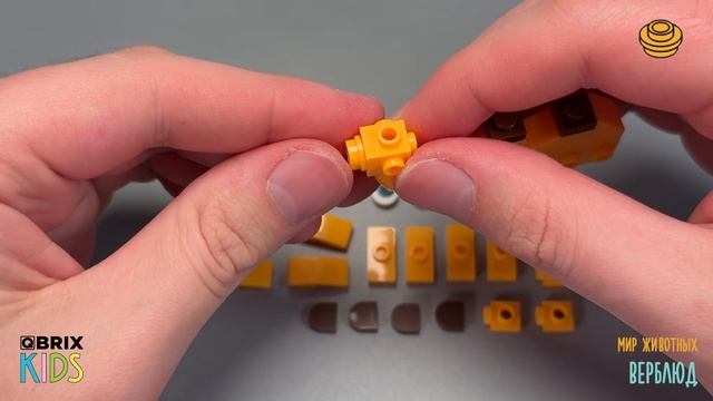 Собираем верблюда из конструктора QBRIX KIDS - детские конструкторы с видеоинструкцией