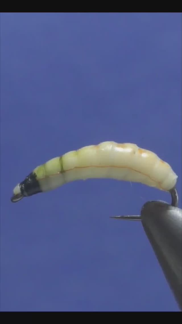 MAGGOT NYMPH Fly For Trout And Grayling #shots