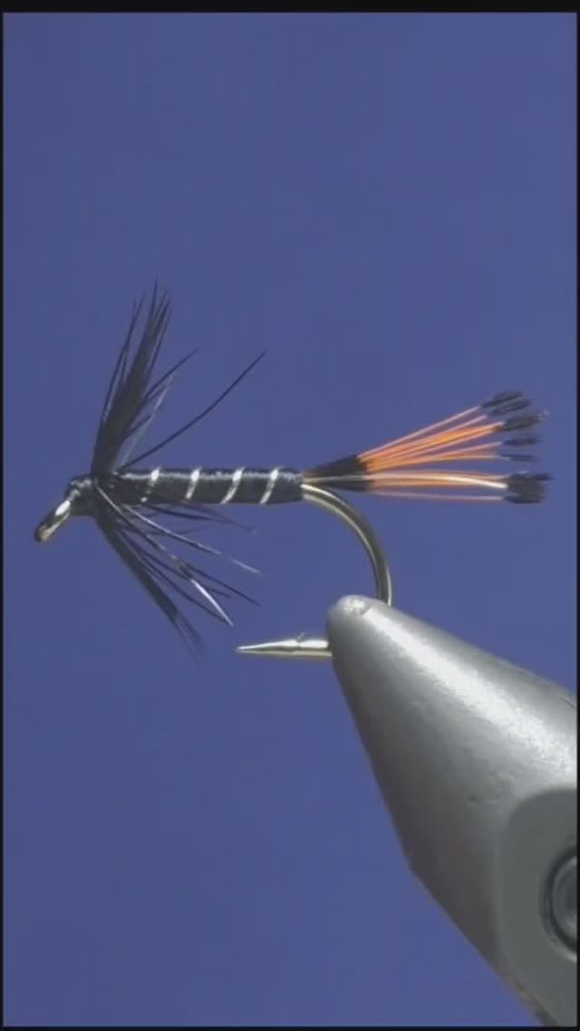 VERY BEST Wet Fly Black Pennell For Trout And Grayling #shots