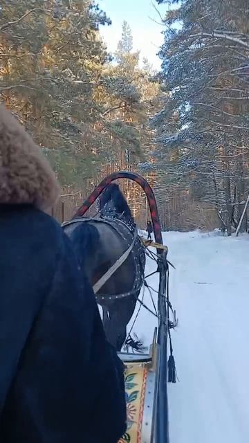 5d2fccb8838964b735db8956ab843da9