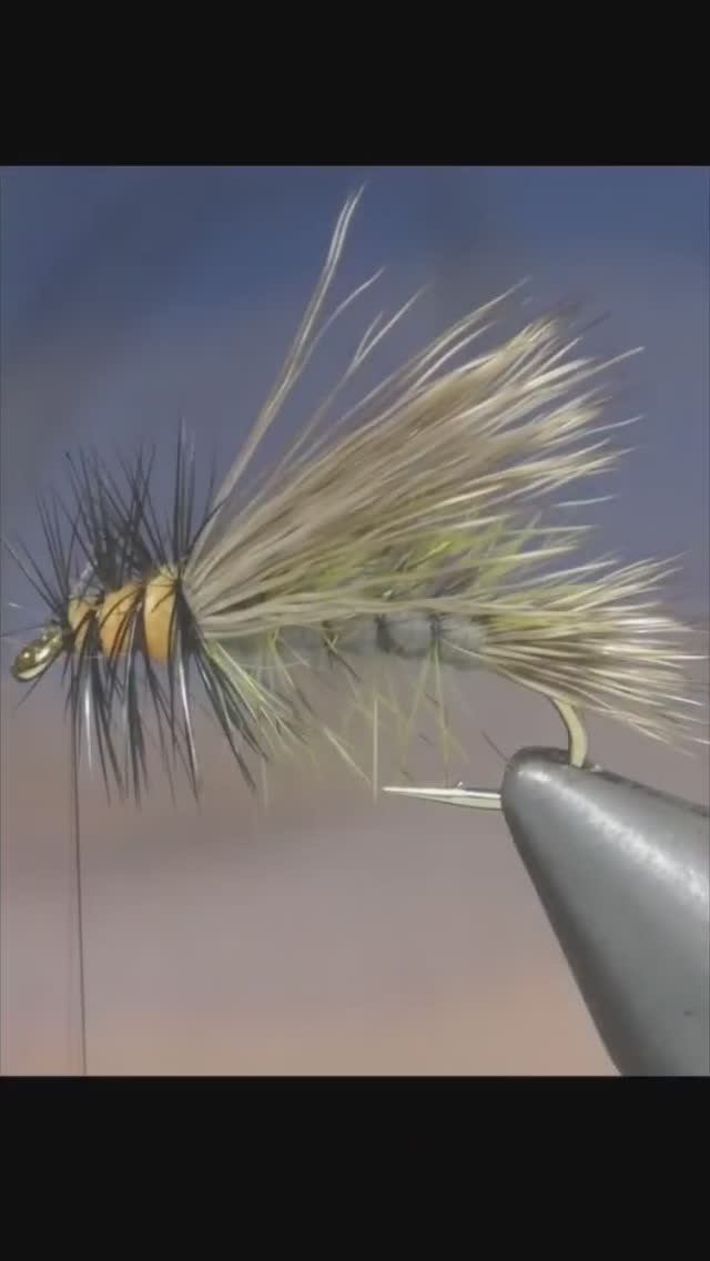DRY FLY Best STIMULATOR OLIVE Fly Tying #shorts #flytying