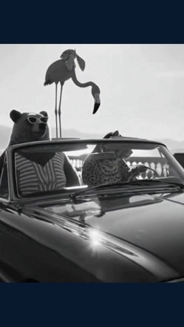 #лакшери #животные #стиль #роскошь #высшийкласс