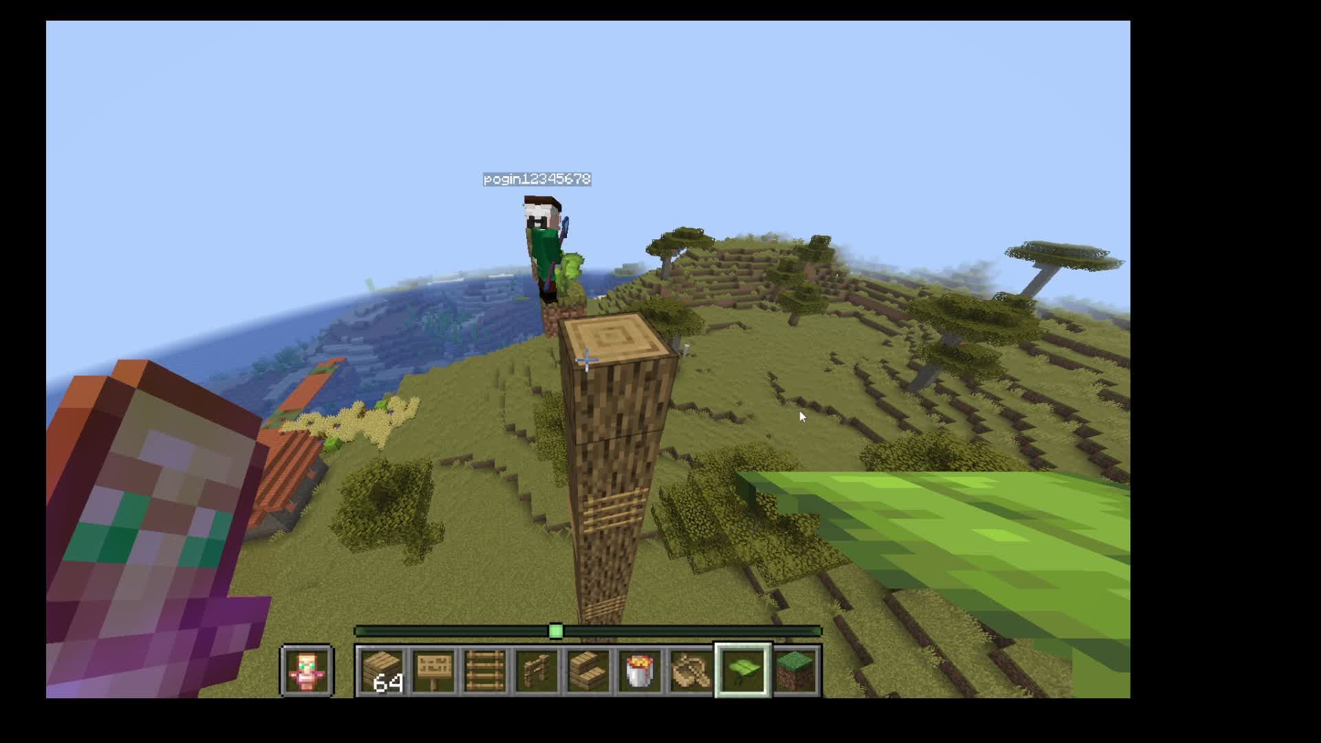 Играем в майнкрафт