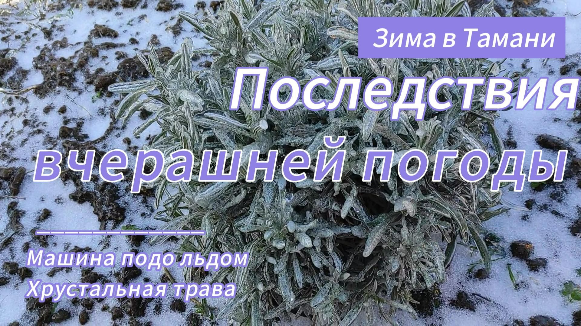 Последствия вчерашней погоды. Тамань 4 февраля 2026г. Машина подо льдом. Хрустальная трава