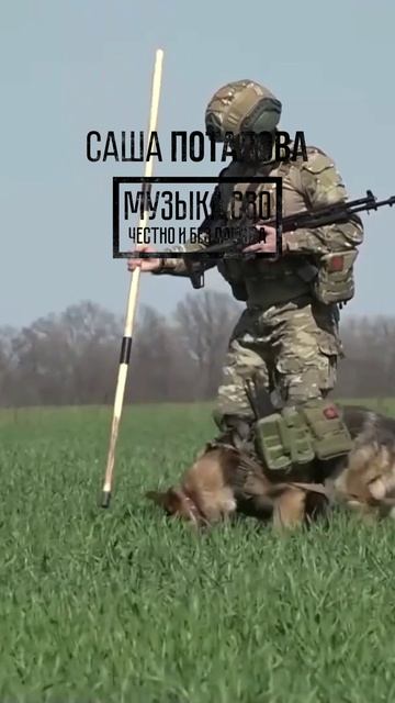 Инженерные войска