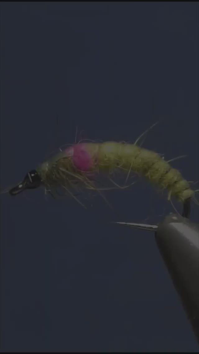 Creating Czech Nymph Fly For Fly Fishing | Fly Tying №#Shorts