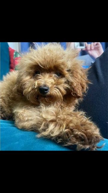 Дабл Бабл Заметь!♥️♥️💋💋