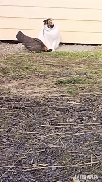 вообще незаметно подходит🤭