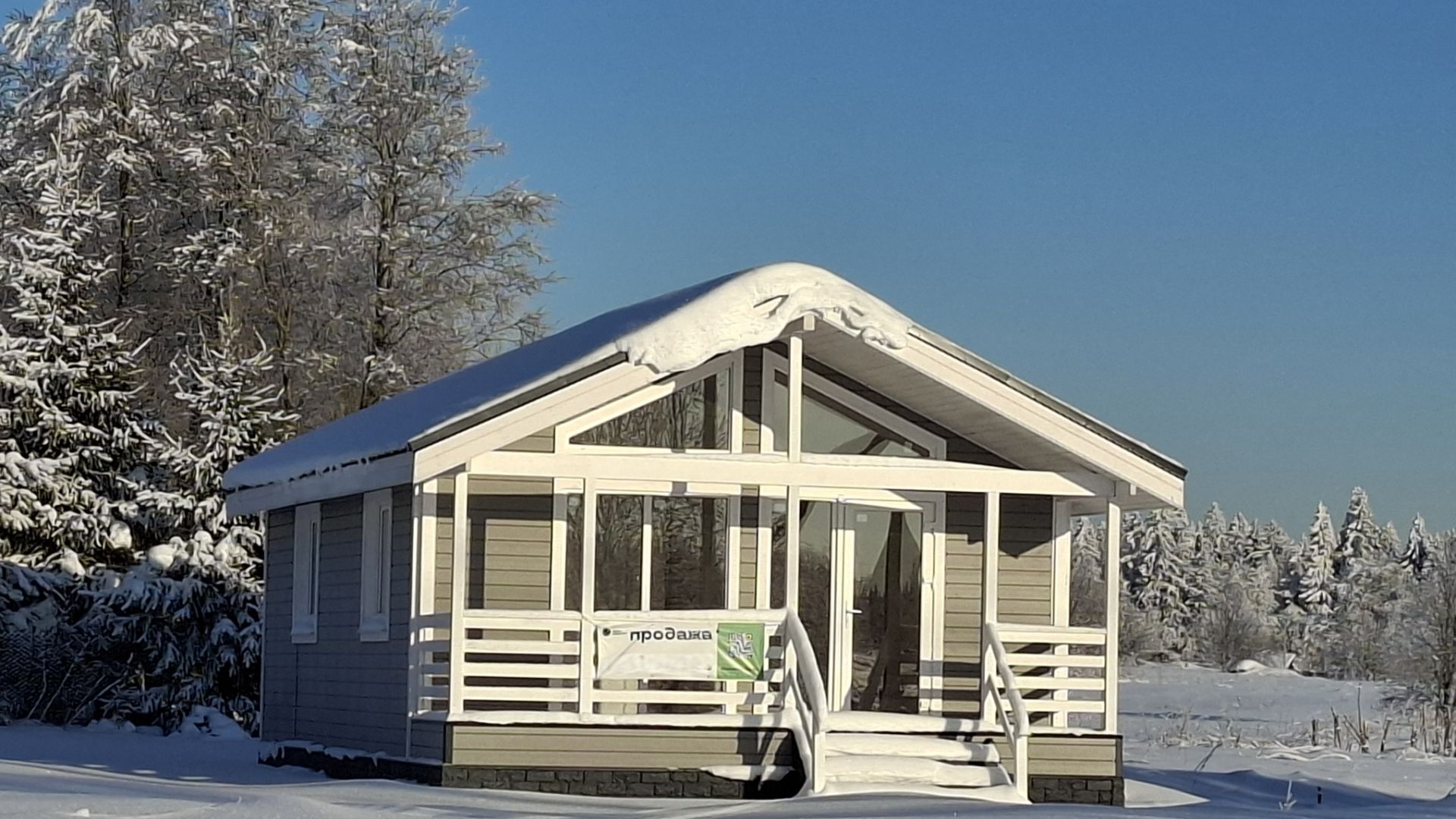 Новый бор. Зима.