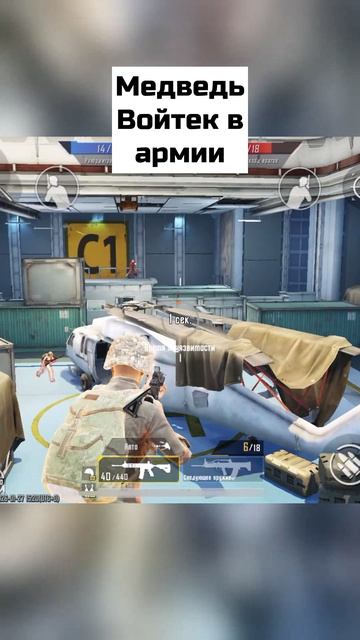 Медведь Войтек в армии