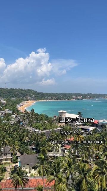 🔥Куда поехать на море зимой #поисктуров #морезимой