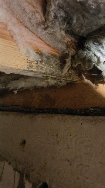 Ea613b7163de5f0f2e2f8c427a002d8f