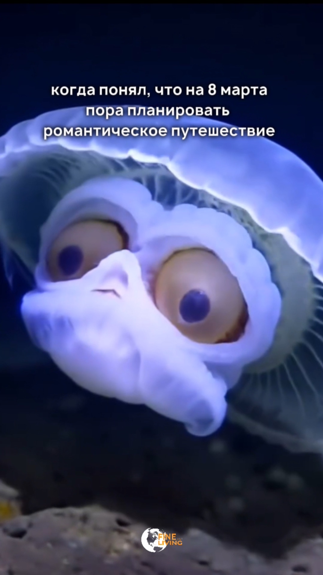 📅 8 марта уже близко!