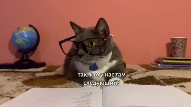 Kotiynet 8 серия 1 сезон. Скари Лариевич и Хаги вагевич.