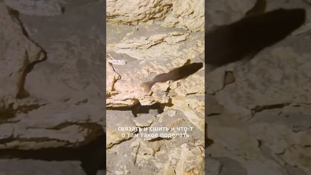 Ненужная жертвенность — Психолог Александра Боровикова