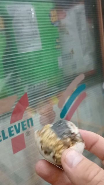 Болют на Филиппинах