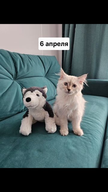 6b8ec222431d879cb824865cec94b7bd