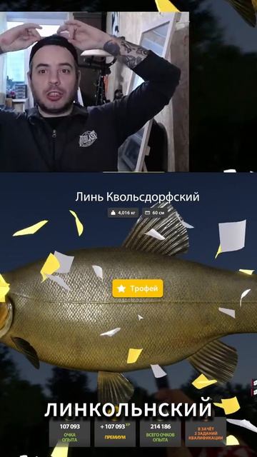 Линь Копченый #русскаярыбалка4