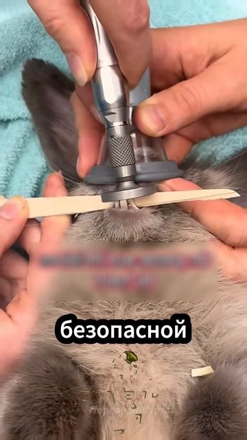 -1817359949052619873