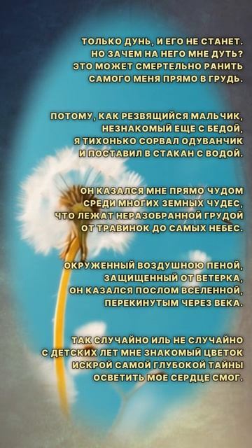Одуванчик