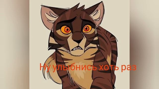 Кто не знал я еще и Квшница♡♡♡обожаю кв