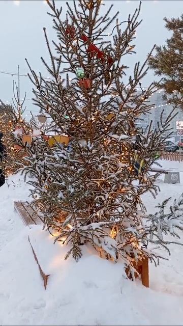 #простоелка 🌲🙂