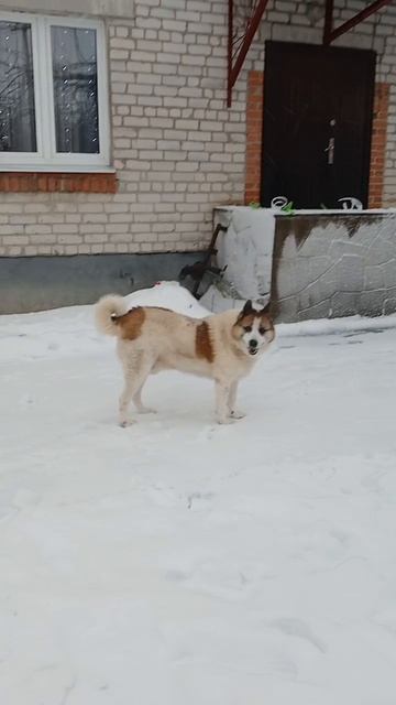 7cf91f8143d9c51bed602452297c3f5a