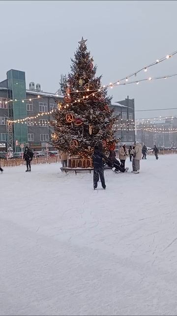 #каток ⛸️☃️🌲