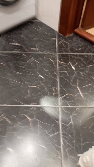 жизнь кошек 1 часть