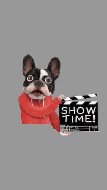 Кошачий сериал 2.mp4