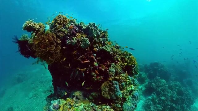 Музыка души