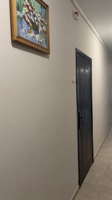 VID_20260206_235306_339.mp4