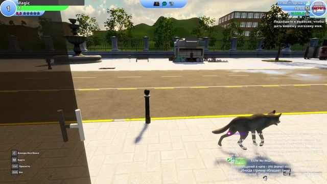 Photographer's Life Simulator: Начинаем карьеру фотографа.