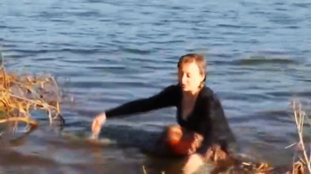 Wetlook Hummingbird Parcopany 1