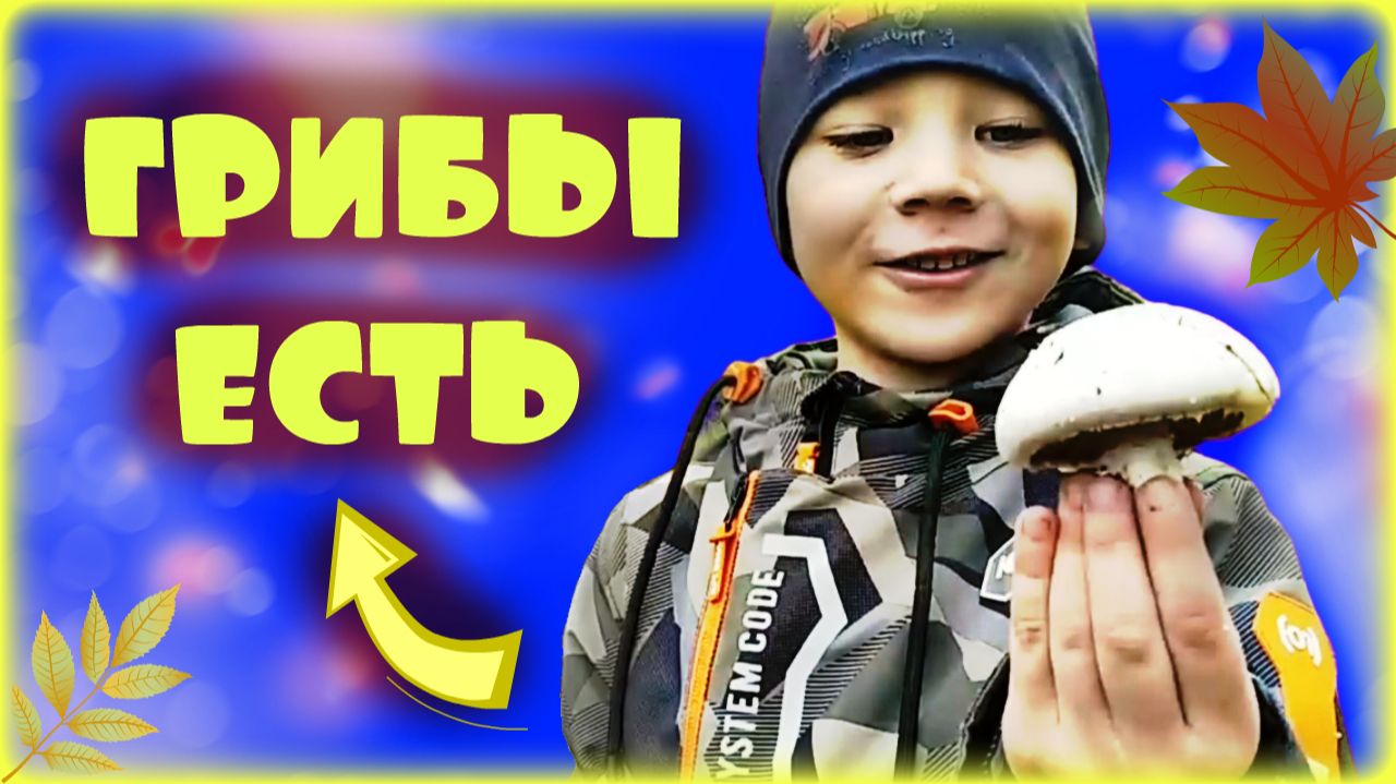 Лес, озеро, грибы.