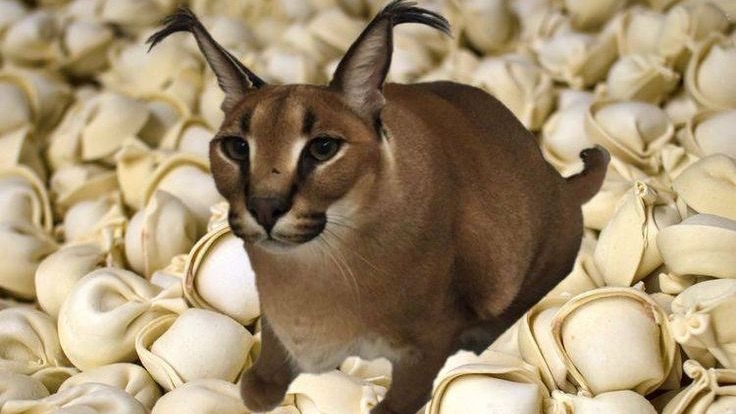 Сбежавший 3 серия 1 сезона