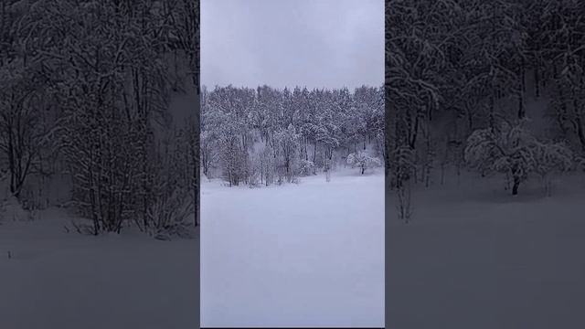 Лыжная жизнь 🌲❄️😉(08.02.26). Эко-лес 