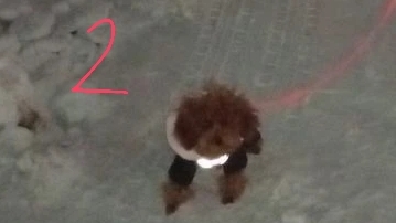 Добрые хозяева