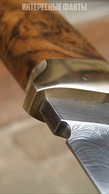Интересные факты о ножах #shorts