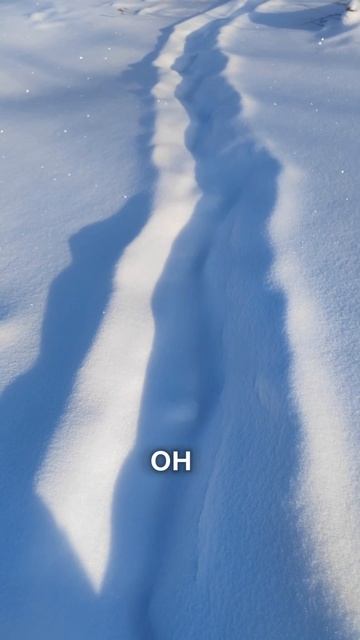 Чей это след? Друзья помогите разобраться))