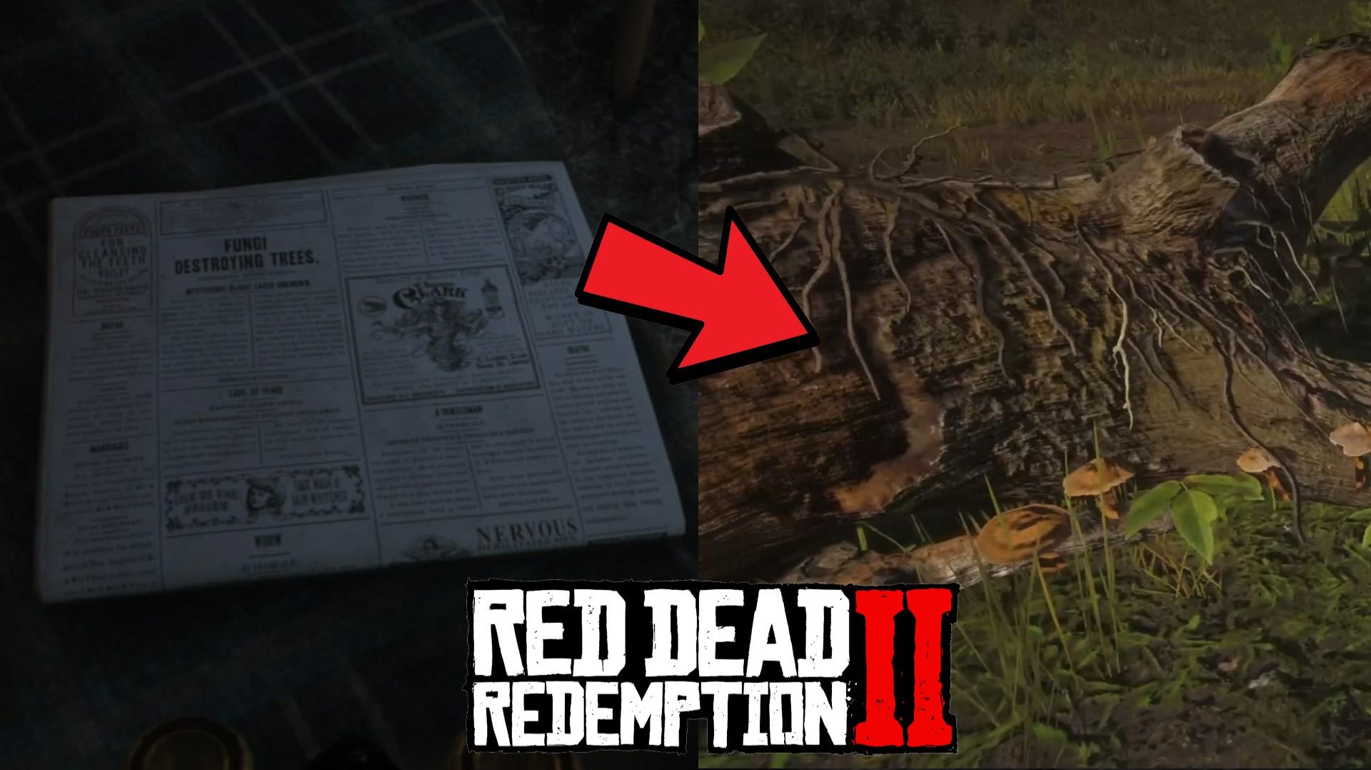 Новая загадка RDR2 - Грибы которые уничтожают деревья