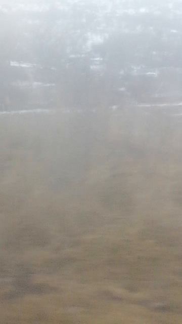 VID_20260208_105555.mp4