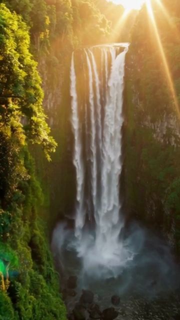 #природа #пейзажи #животные #экология #ландшафт #растительность