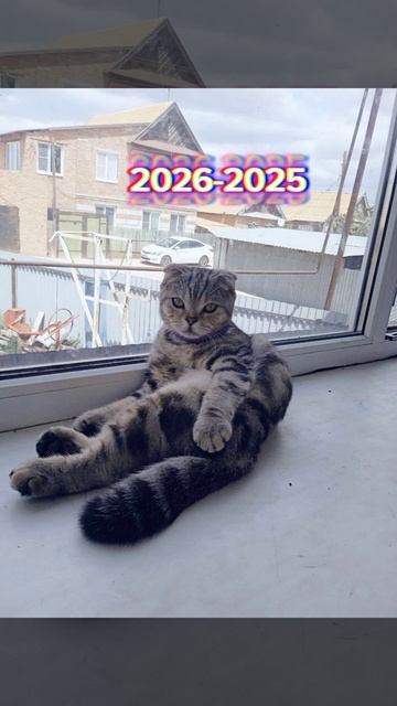 7152e17997f8e492addf27fac0801bba