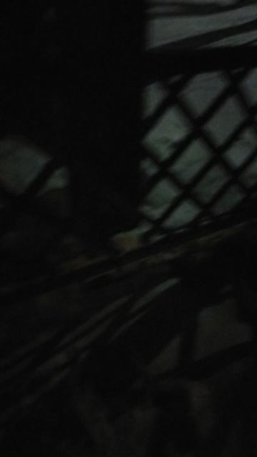 VID_20260207_203628.mp4