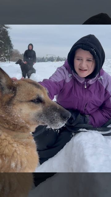 864cc3603238594997809c6b1c3c5ef0