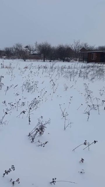 Video_2026-02-09_12-55-53