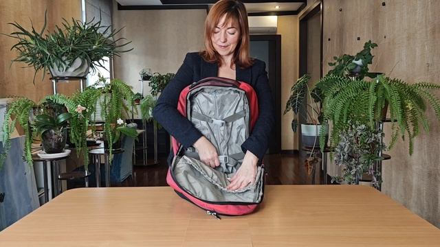 Сумка-рюкзак с телегой на колесах, Polar П7102-01, красный