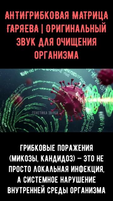 НАСТОЯЩАЯ МАТРИЦА ГАРЯЕВАбез музыки, только чистый паттерн